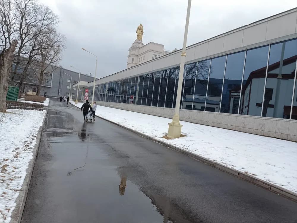 Плёнка на окна первого этажа: приватность без потери света